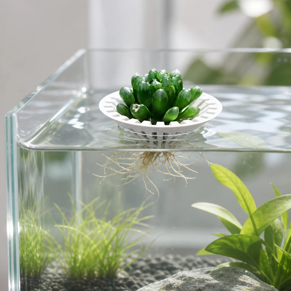Aquarium Planted Fish Tank - Akvaryum Hidroponik Saksı 3D Baskılı Yüzen