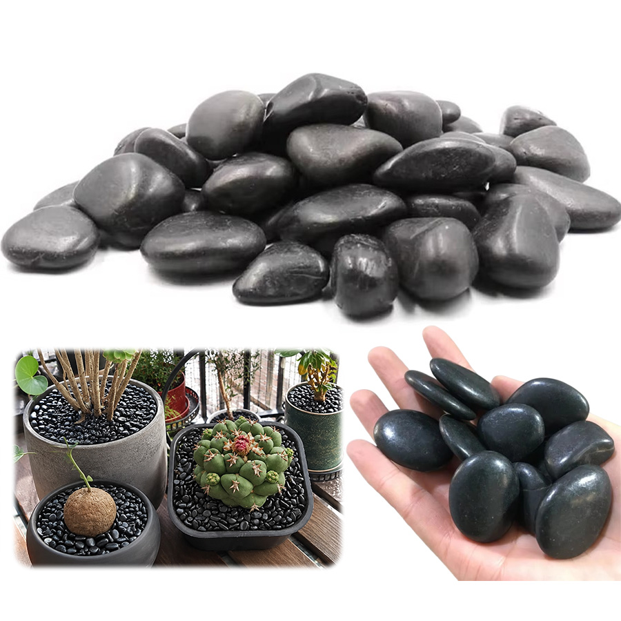 Aquarium Planting Ideas - 200/300/400g Siyah Cilalı Çakıl Taşları –