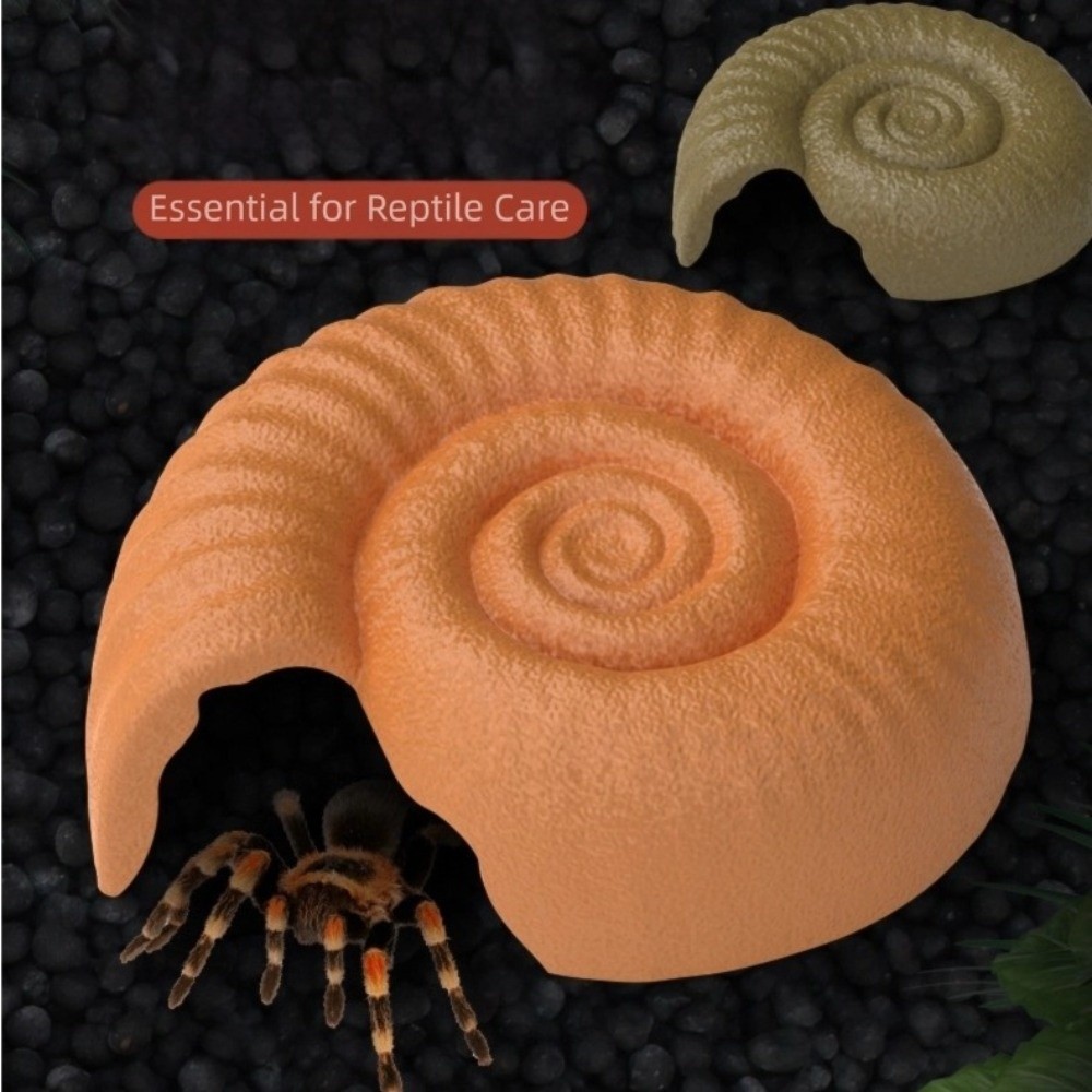 Aquarium Planting Ideas - Amonit Şeklinde Sürüngen Gizlenme Mağarası Akvaryum