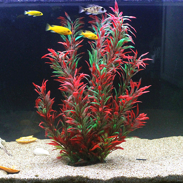 Aquarium Planting Ideas - 50 CM Yapay Balık Tankı Nadir