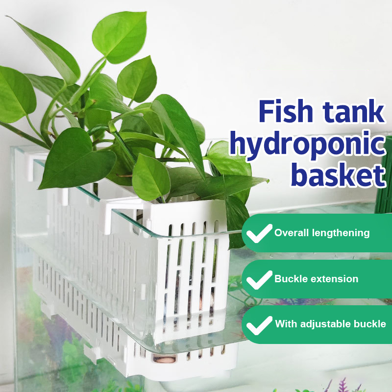 Aquarium Planting Ideas - Balık Tankı Asılı Saksı Su Bitkisi