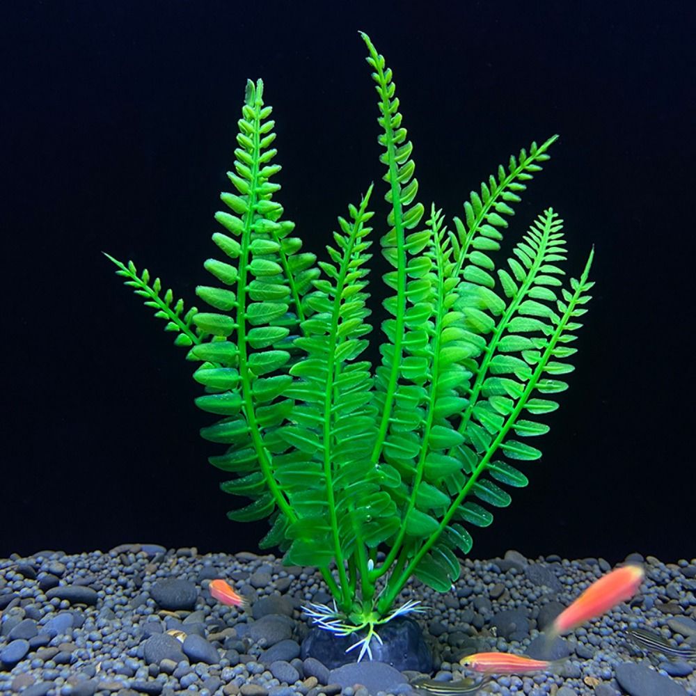 Balık tankı süs bitki akvaryum - Planted Aquarium Bowl incelemesi ve fiyatı