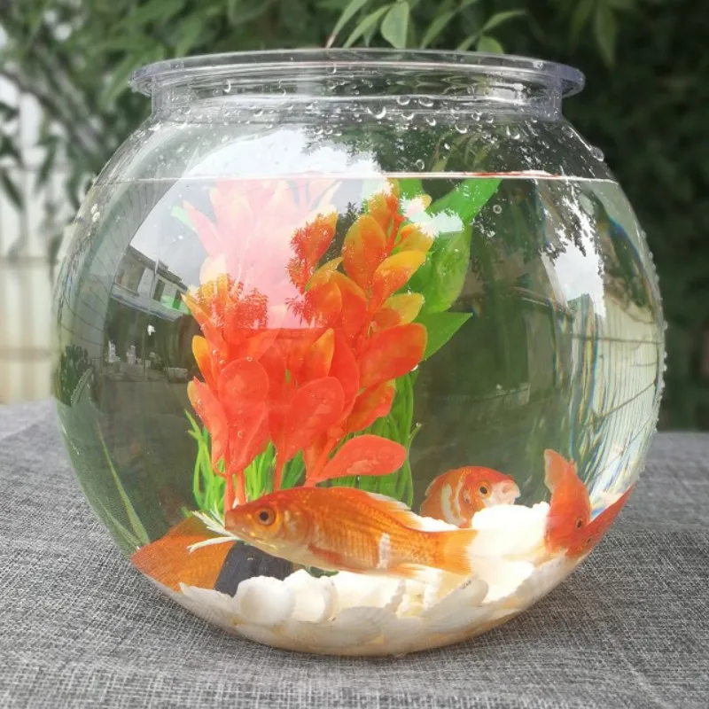 Akvaryum balığı kase masaüstü  - Planted Aquarium Bowl incelemesi ve fiyatı