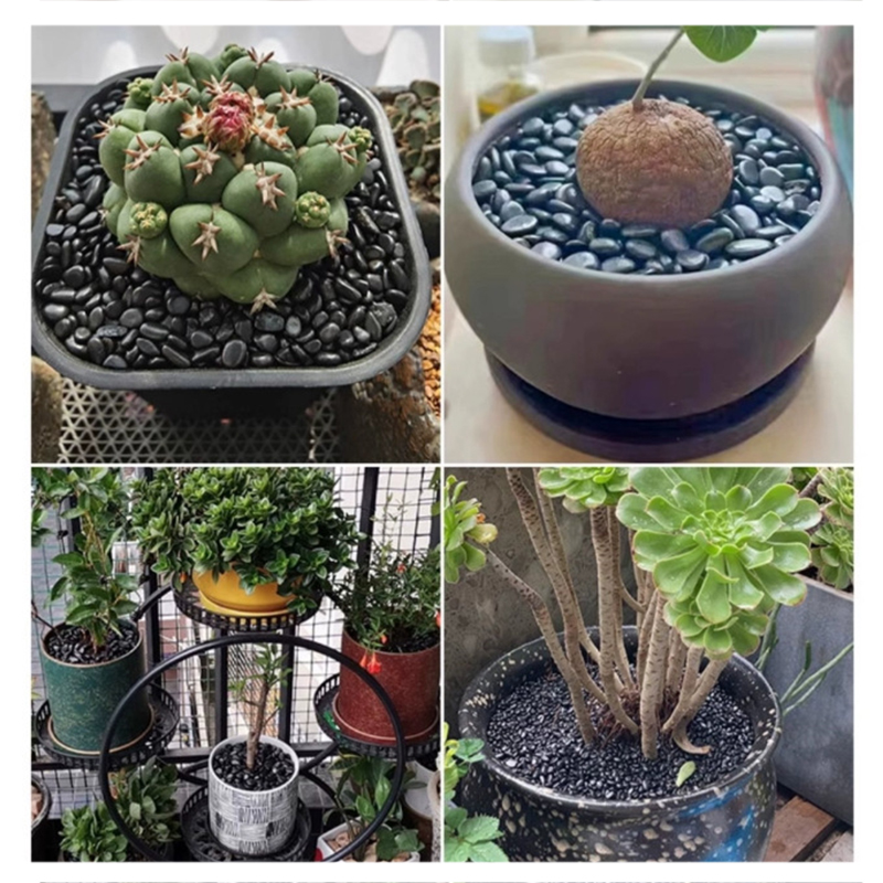 Beyaz ve Siyah Cilalı Nehir Ta - Aquarium Planting Ideas incelemesi ve fiyatı