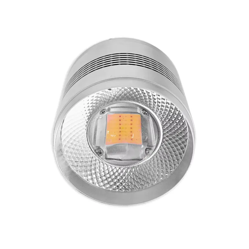 70W LED Akvaryum Lambası, Tatl - Aquarium Planted Fish Tank incelemesi ve fiyatı