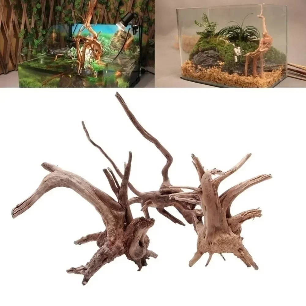 (15-20cm) Doğal Deniz Odunu Ak - Aquarium Planting Ideas incelemesi ve fiyatı