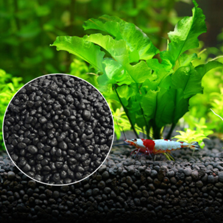Akvaryum bitki tohumları topra - Aquarium Planting Ideas incelemesi ve fiyatı