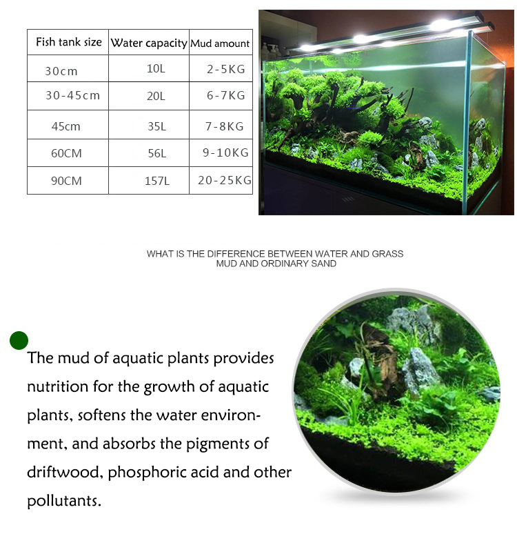 Akvaryum bitki tohumları topra - Aquarium Planting Ideas incelemesi ve fiyatı