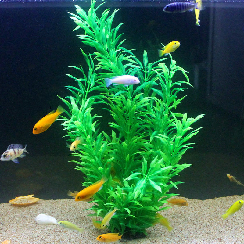 50 CM Yapay Balık Tankı Nadir  - Aquarium Planting Ideas incelemesi ve fiyatı