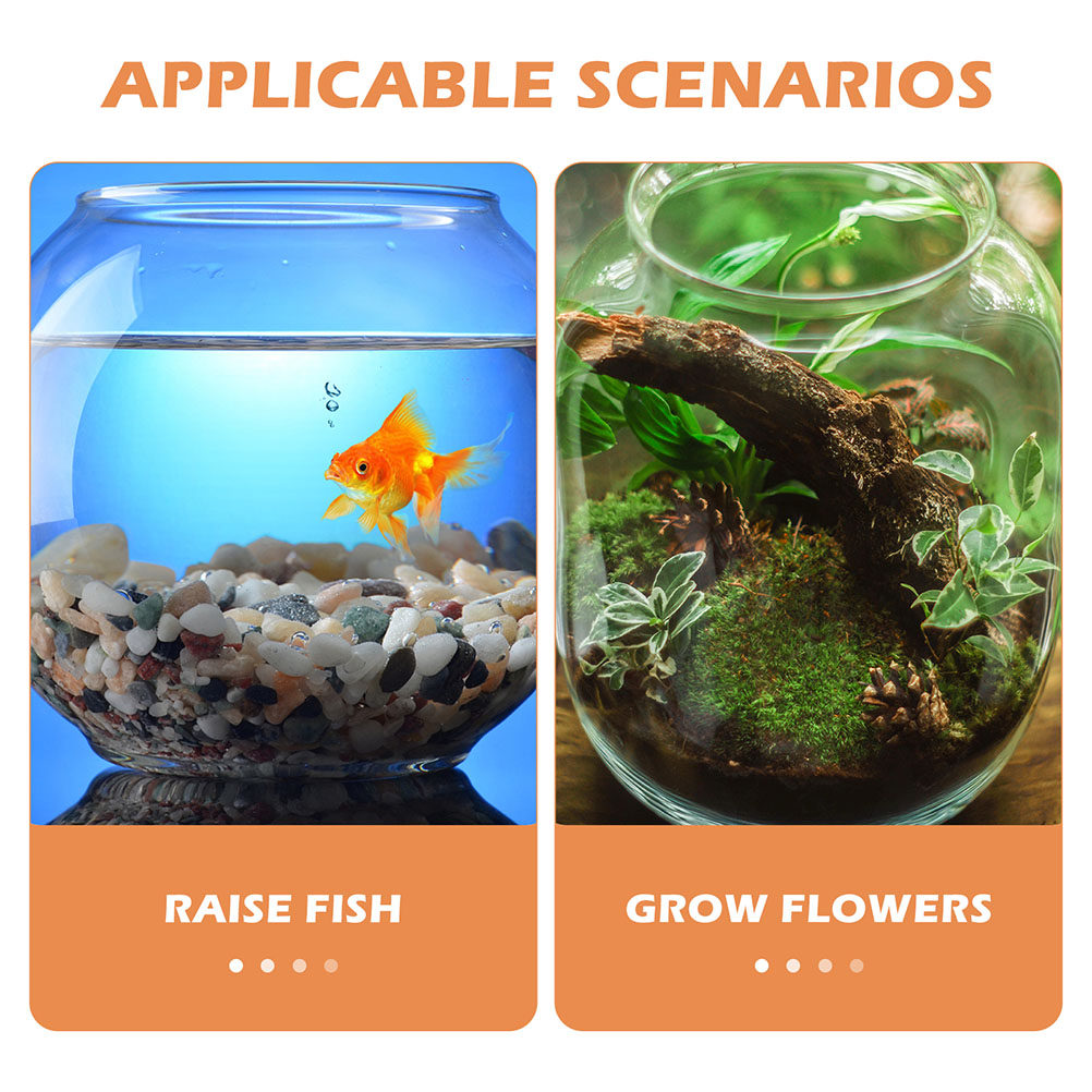 1 Adet Şeffaf Masaüstü Balık K - Planted Aquarium Bowl incelemesi ve fiyatı