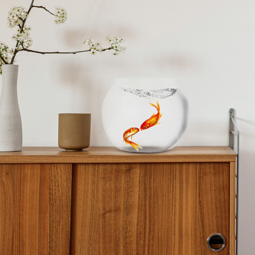 1 Adet Şeffaf Masaüstü Balık K - Planted Aquarium Bowl incelemesi ve fiyatı