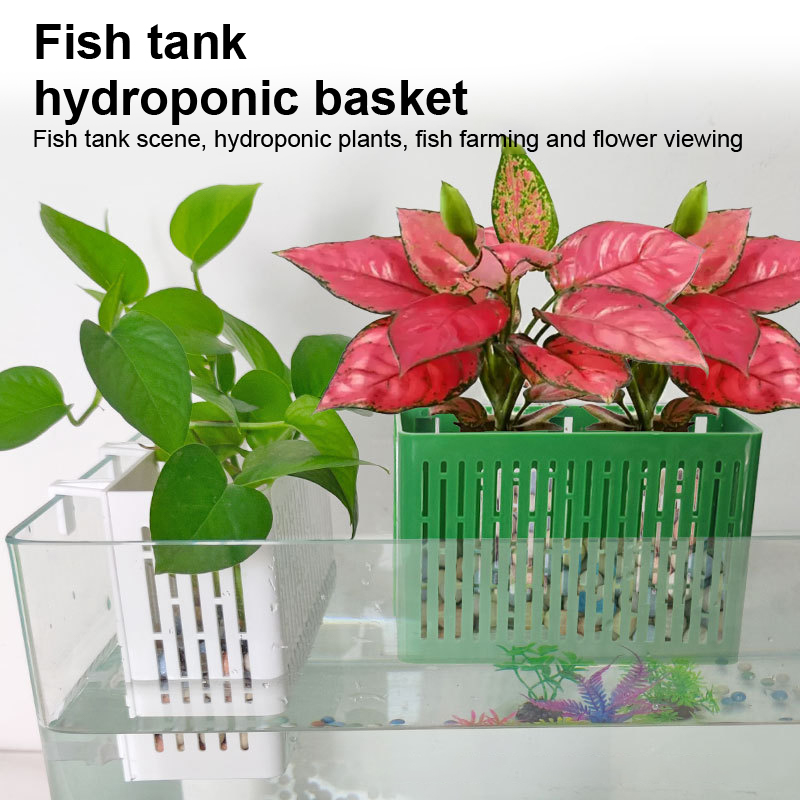 Balık Tankı Asılı Saksı Su Bit - Aquarium Planting Ideas incelemesi ve fiyatı